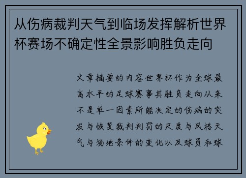 从伤病裁判天气到临场发挥解析世界杯赛场不确定性全景影响胜负走向